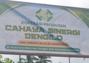 Koperasi Pemegang Izin Pertambangan di Dengililo Protes: PETI Berjalan Bebas, Kami Justru Terkendala